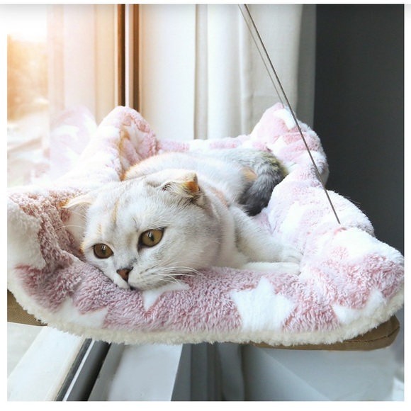 Looking for high-quality pet supplies right in your neighborhood? - Picture 11 of 15